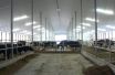small_199_bb_008.jpg